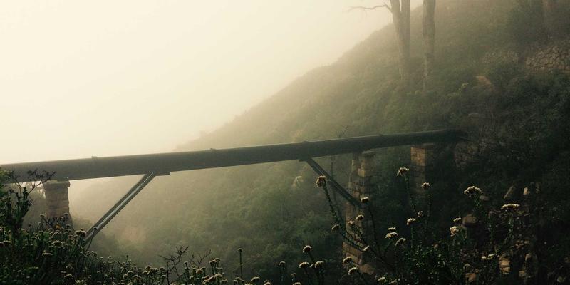 Zespół agencji brandingowej podczas prezentacji identyfikacji wizualnej klientowi