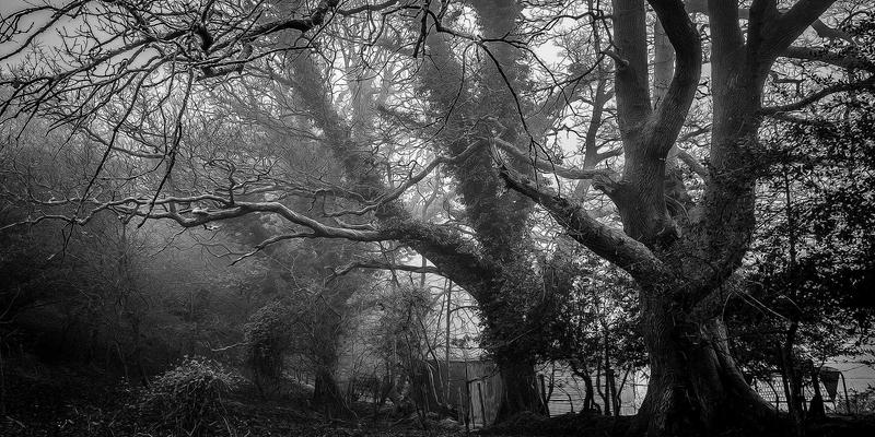 Materiały korporacyjne ułożone na stole jako przykład kompletnej identyfikacji wizualnej